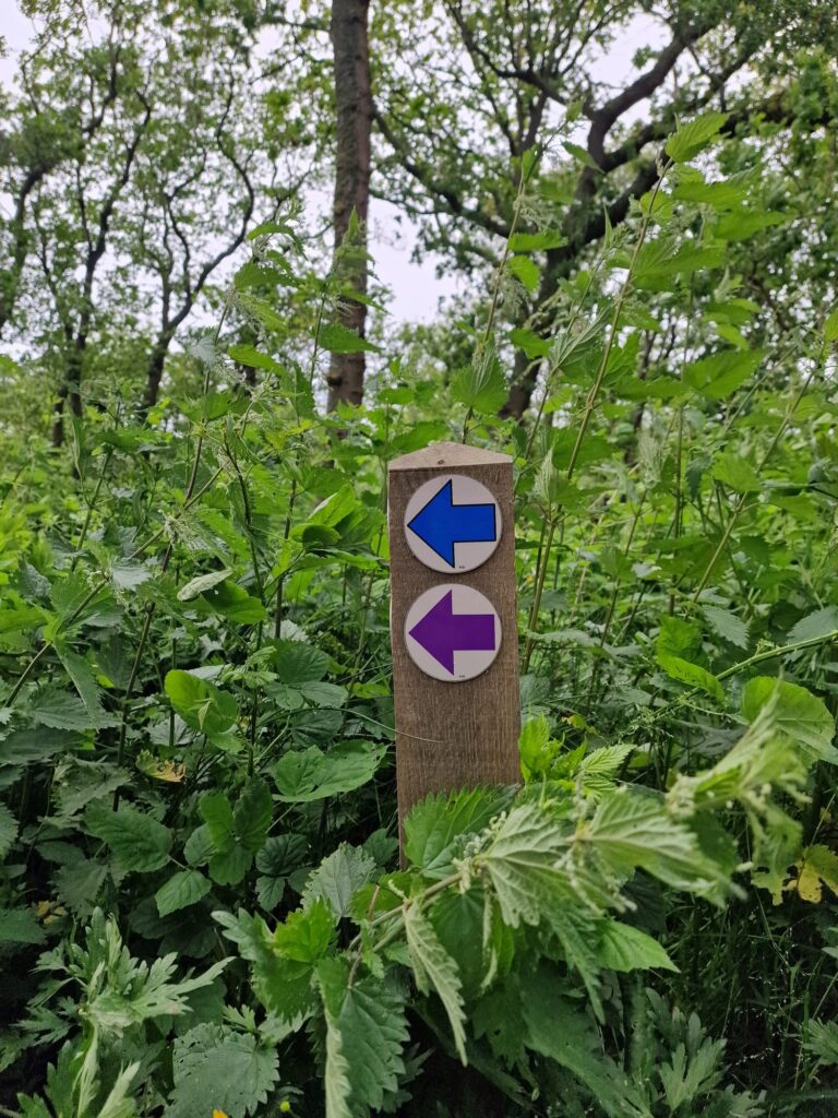 Paal met pijltjeswandeling